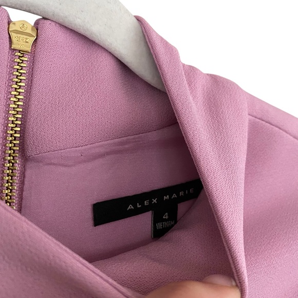 Alex Marie NWT Lilac Purple Gwen Mock Neck Scallop Front Trim Shift Dress Size 4 - Picture 6 of 10